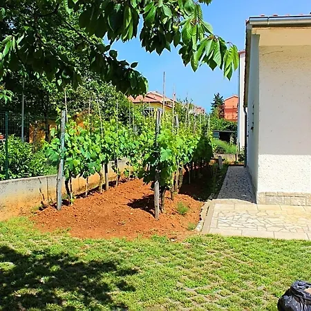 Appartamento In Porec/istrien 10210